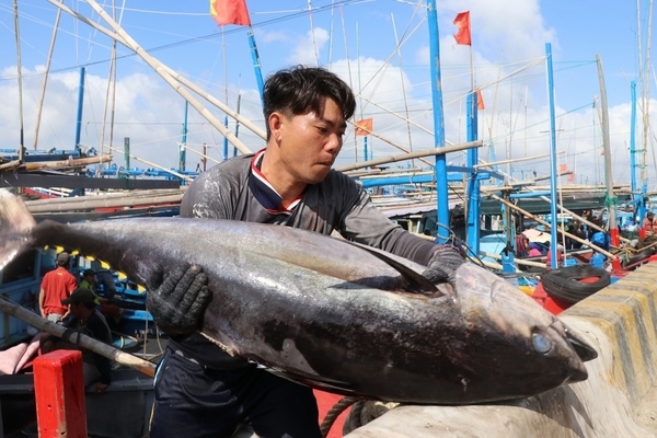 Trung Quốc đề xuất thiết lập đối tác kinh tế biển xanh với ASEAN