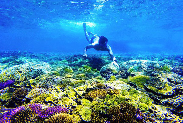 Discovering Green Island in Quy Nhon