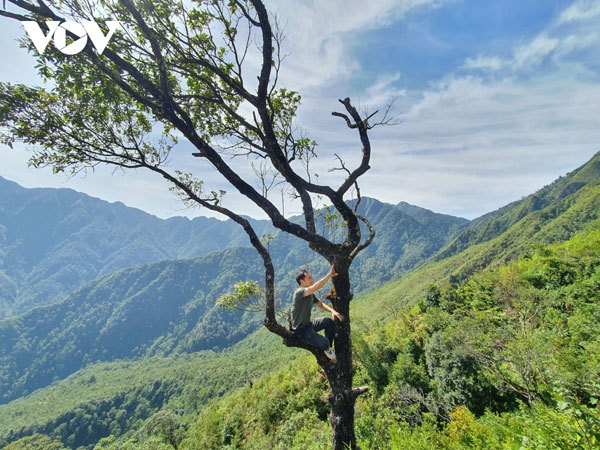 Trekking up Ta Chi Nhu Mountain in Yen Bai