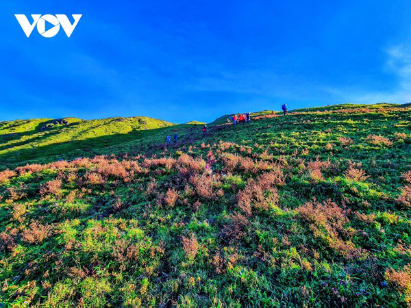 Trekking up Ta Chi Nhu Mountain in Yen Bai