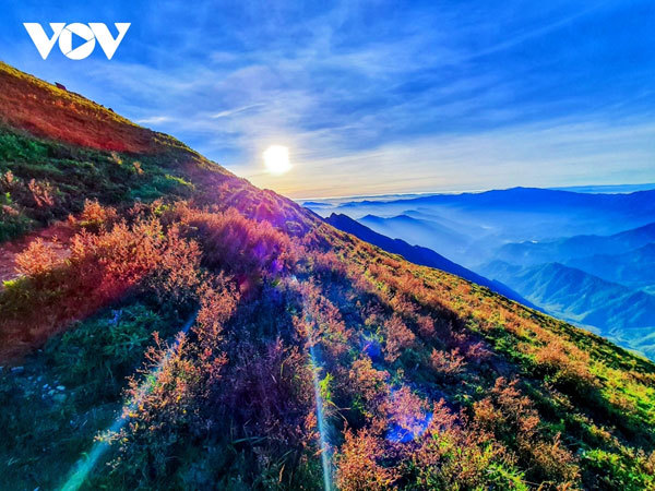 Trekking up Ta Chi Nhu Mountain in Yen Bai