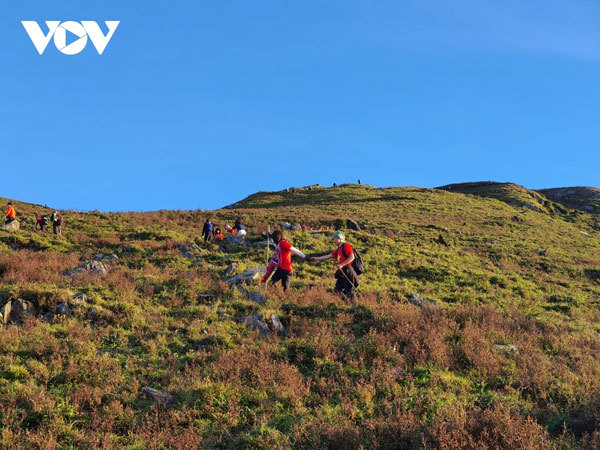 Trekking up Ta Chi Nhu Mountain in Yen Bai