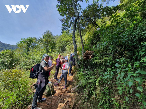 Trekking up Ta Chi Nhu Mountain in Yen Bai