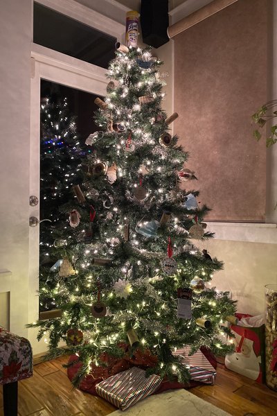11 cây thông Noel đẹp và ấn tượng trên thế giới Giáo Phận Bà Rịa