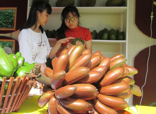 5 giống chuối nổi tiếng Việt Nam: Có loại xấu chưa từng có nhưng ăn lại cực ngon