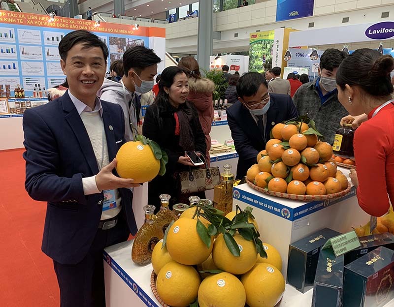 Ông nông dân diện comple, giày bóng loáng bán 1.000 tấn cam không cần ra chợ