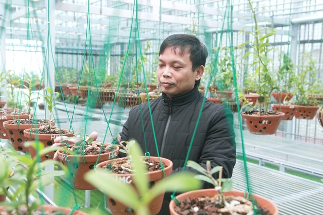 Lặng ngắm giàn lan đột biến 'khủng' được làm từ 30 tấn thép trên sân thượng