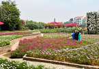 Ho Tay Flower Valley: An ideal venue to take photos in Hanoi