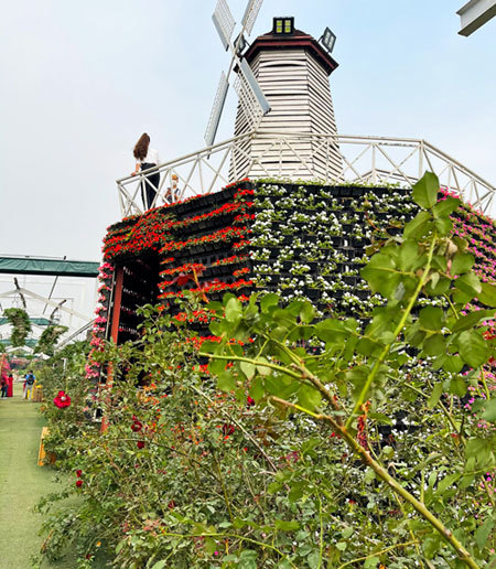 Ho Tay Flower Valley: An ideal venue to take photos in Hanoi