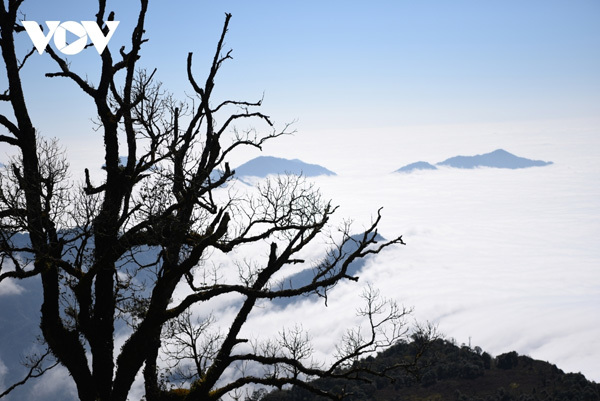 Conquering Chieu Lau Thi peak in Ha Giang