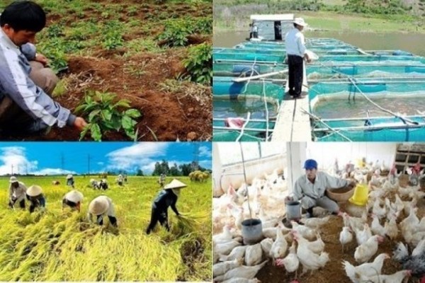 Sửa đổi, bổ sung một số điều trong Luật HTX 2012 để đáp ứng yêu cầu thực tiễn