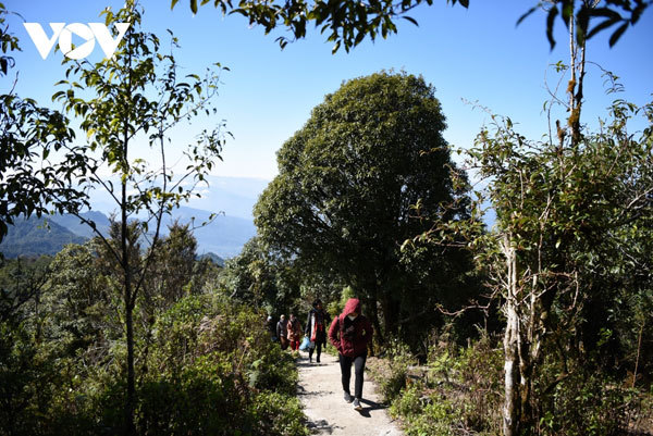 Conquering Chieu Lau Thi peak in Ha Giang