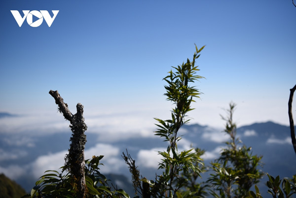 Conquering Chieu Lau Thi peak in Ha Giang