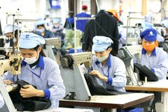 Nửa đầu năm, xuất khẩu của Việt Nam sang các thị trường trên đều đạt mức tăng trưởng cao