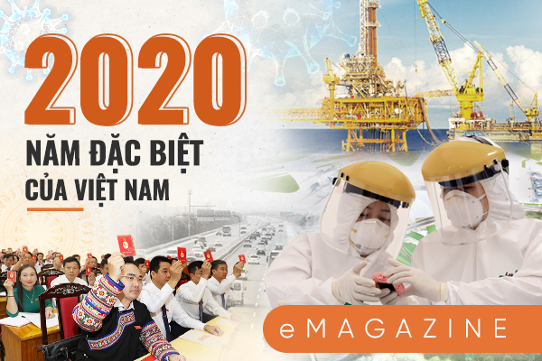 2020 - năm đặc biệt của Việt Nam