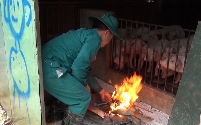 Chủ động các giải pháp đảm bảo an toàn cho vật nuôi vụ đông xuân