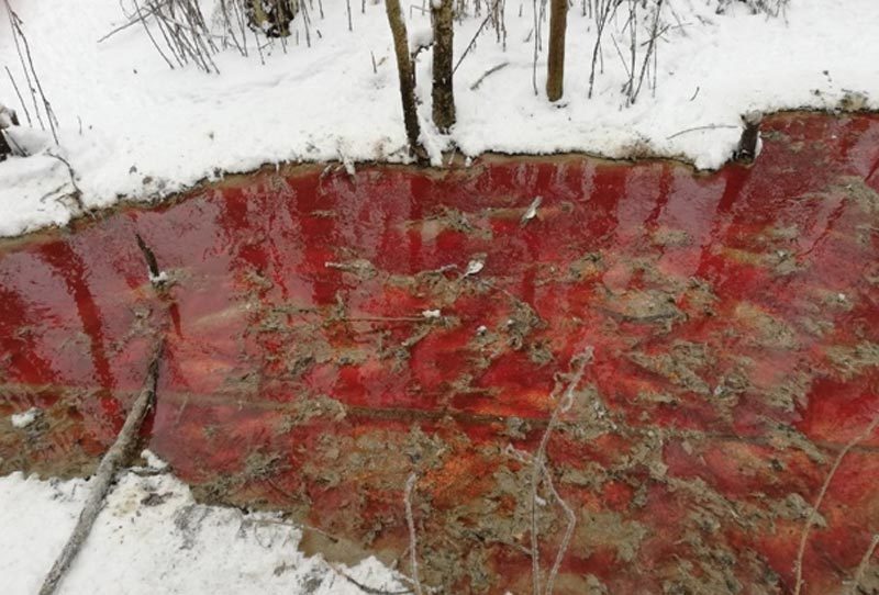 Sông đỏ thẫm xuất hiện giữa rừng tuyết, Nga vội vã điều tra