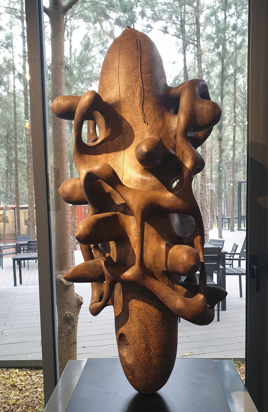 Bảo tàng nghệ thuật đương đại giấu mình dưới rừng thông