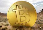 Bitcoin cắm đầu giảm giá, một đêm mất gần 100 triệu