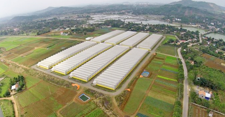 Tăng cường liên kết ứng dụng và chuyển giao công nghệ vùng Bắc Trung Bộ