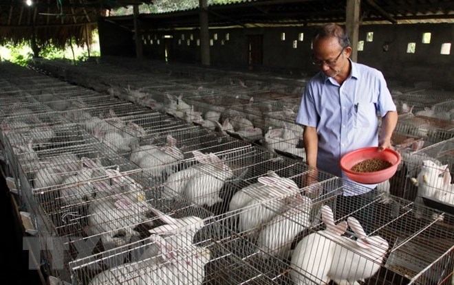 Yên Bái: SXNN công nghệ cao bước đầu thu kết quả khả quan