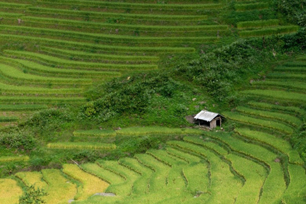 5 điểm du lịch Sapa đẹp ngỡ ngàng không nên bỏ lỡ