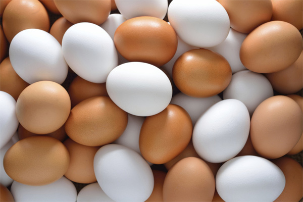 So sánh trứng gà màu trắng và nâu