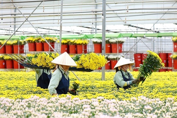 Số liệu thống kê: Nhiệm kỳ qua tỉnh Lâm Đồng phát triển mới trên 4.000 doanh nghiệp