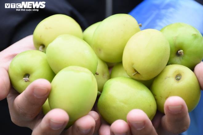 Đặc sản táo muối Hải Phòng 'cháy hàng', dân thu cả trăm triệu