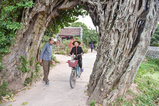 Truyện Vạn Cổ Thần Đế