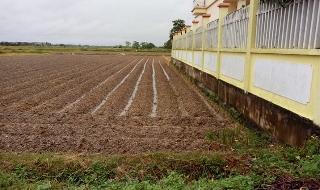 Bán ô tô 'bẻ lái' mua đất quê, bất ngờ cuối năm vợ chồng tôi có số tiền gấp đôi