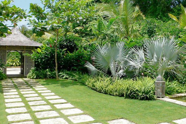 Những loại cây cát tường nên trồng ở sân nhà