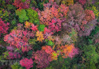 Colourful winter in mountainous province