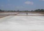 Salt-making craft in Bac Lieu named national heritage