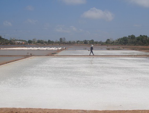 Salt-making craft in Bac Lieu named national heritage