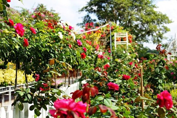 10 năm vợ chồng, anh nói chia tay, lòng tôi chợt thấy… vui lạ