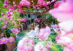 'Vườn hoa khổng lồ' trên sân thượng của người phụ nữ Hà Nội