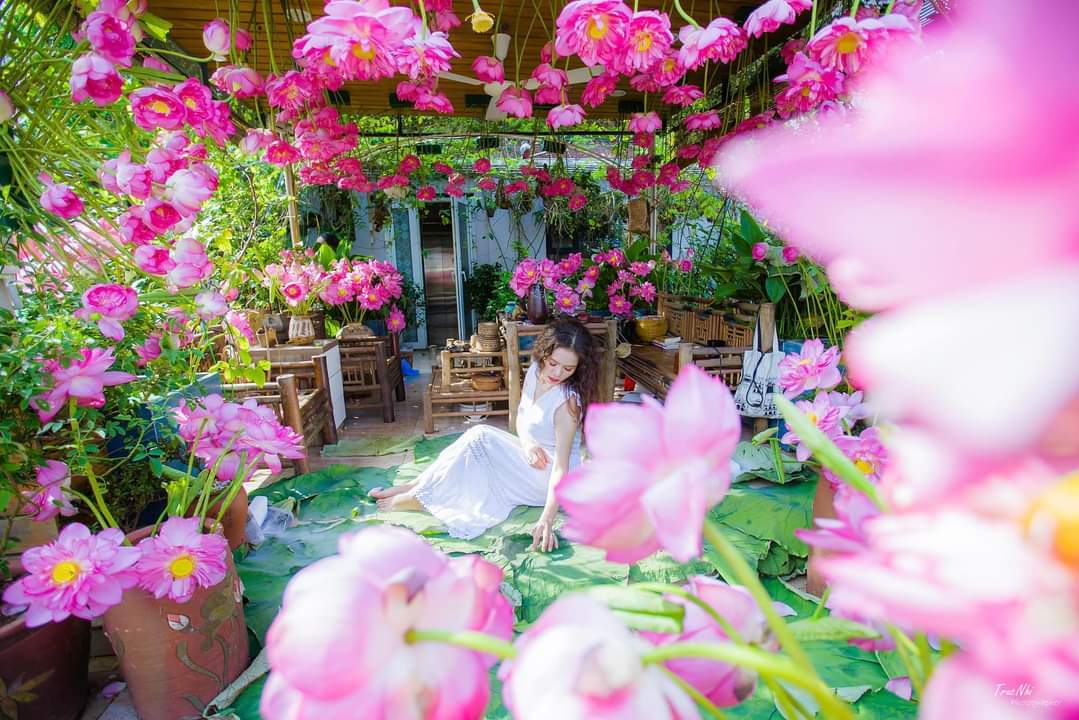 'Vườn hoa khổng lồ' trên sân thượng của người phụ nữ Hà Nội