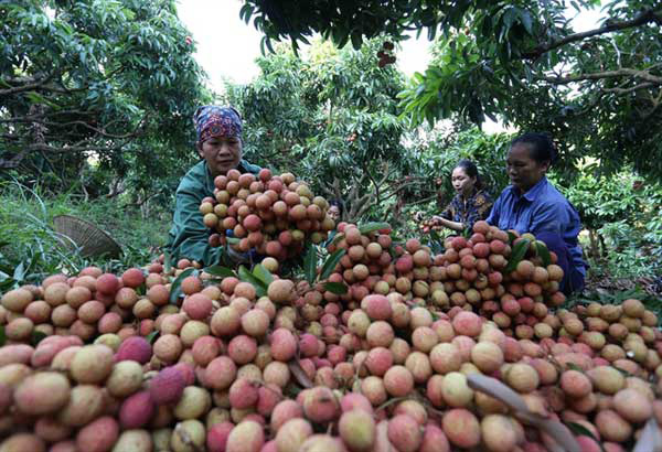 Vietnam heads towards modern, integrated agriculture