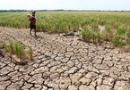 Climate Change: Vietnam’s strong political commitment to protection of human rights