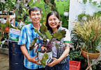 Người Sài Gòn mở 'Shop 0đ', lan tỏa thú vui trồng cây