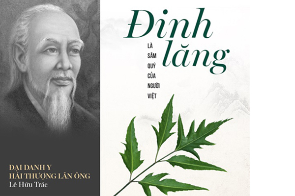 Đinh lăng - vị thuốc quý ngay trong vườn nhà