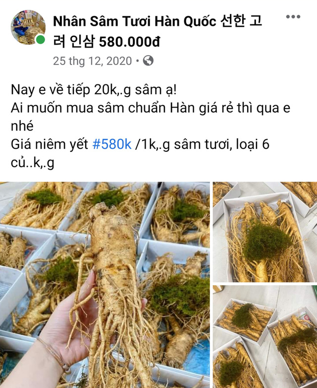 'Ngã ngửa' với sâm tươi Hàn Quốc giá 500.000 đồng/kg