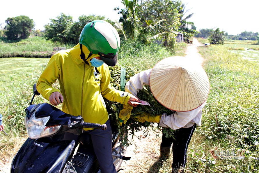 Truyện Khoá Tơ Ngỗng