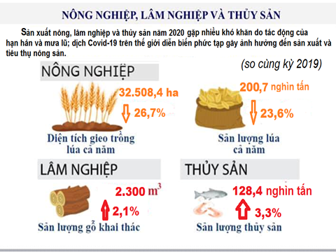 Tình hình kinh tế - xã hội tỉnh Ninh Thuận năm 2020 qua con số thống kê