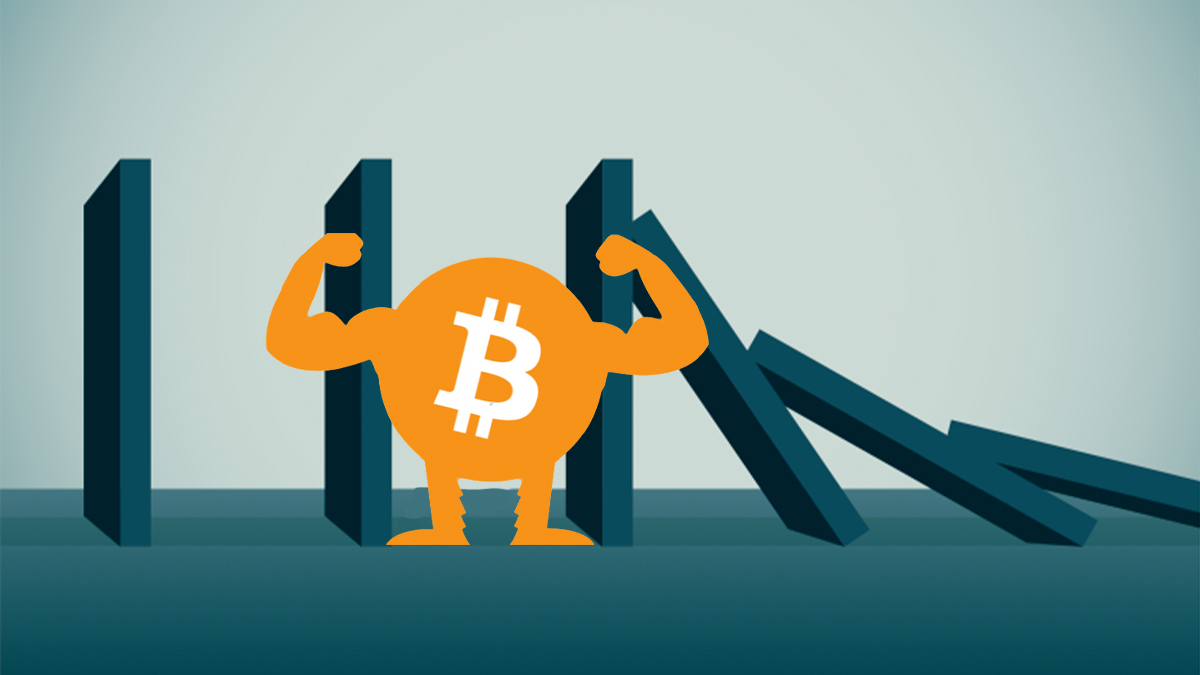 900 triệu/bitcoin: Đỉnh cao khó tin và nguy cơ đổ sụp