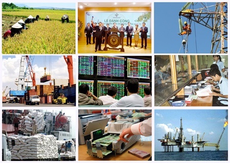 Cuộc Tổng điều tra kinh tế năm 2021 sẽ gồm những nội dung nào?