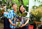 Saigonese open ‘zero VND shops’ to encourage people to plant trees