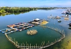 486 tỷ khơi thông sông Cổ Cò kết nối vùng đô thị giữa Quảng Nam và Đà Nẵng