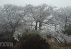 Northern mountain covered with ice as temperature drops to -9°C